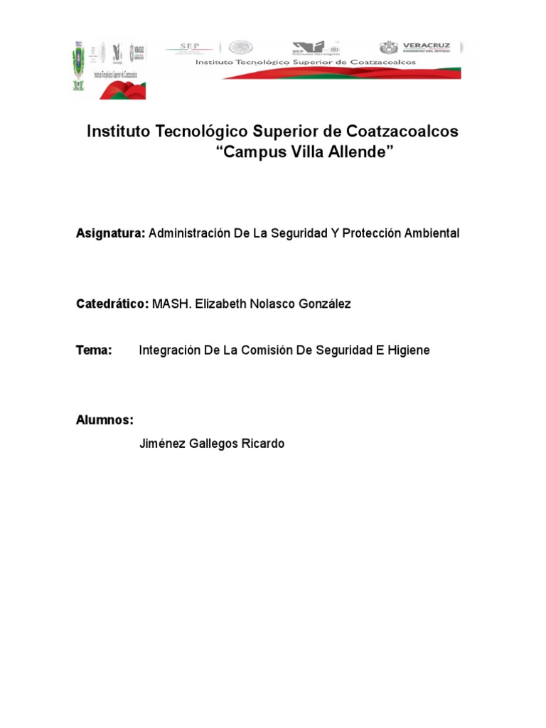 Acta Constitutiva de Seguridad e Higiene | PDF | México | La seguridad