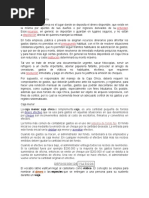 concepto de Caja Chica