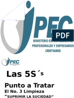 259184557-Tratamiento-Medular-5S-Suprimir-La-Suciedad.pdf