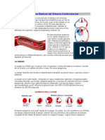 Conceptos Básicos Del Sistema Cardiovascular