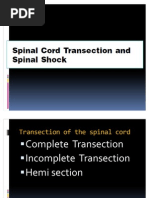 Download Spinal Shock by Physiology by Dr Raghuveer SN32762822 doc pdf