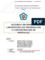 2 Informe de Laboratorio de Preparacion y Concentracion de Minerales