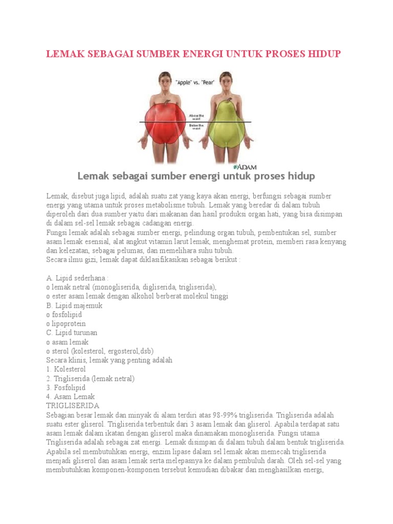 Lemak Sebagai Sumber Energi Untuk Proses Hidup PDF