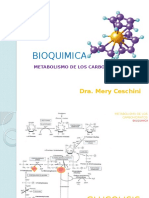 Bioquimica Carbo i