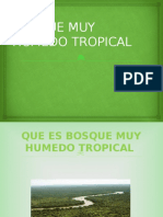 Bosque Muy Húmedo Tropical 