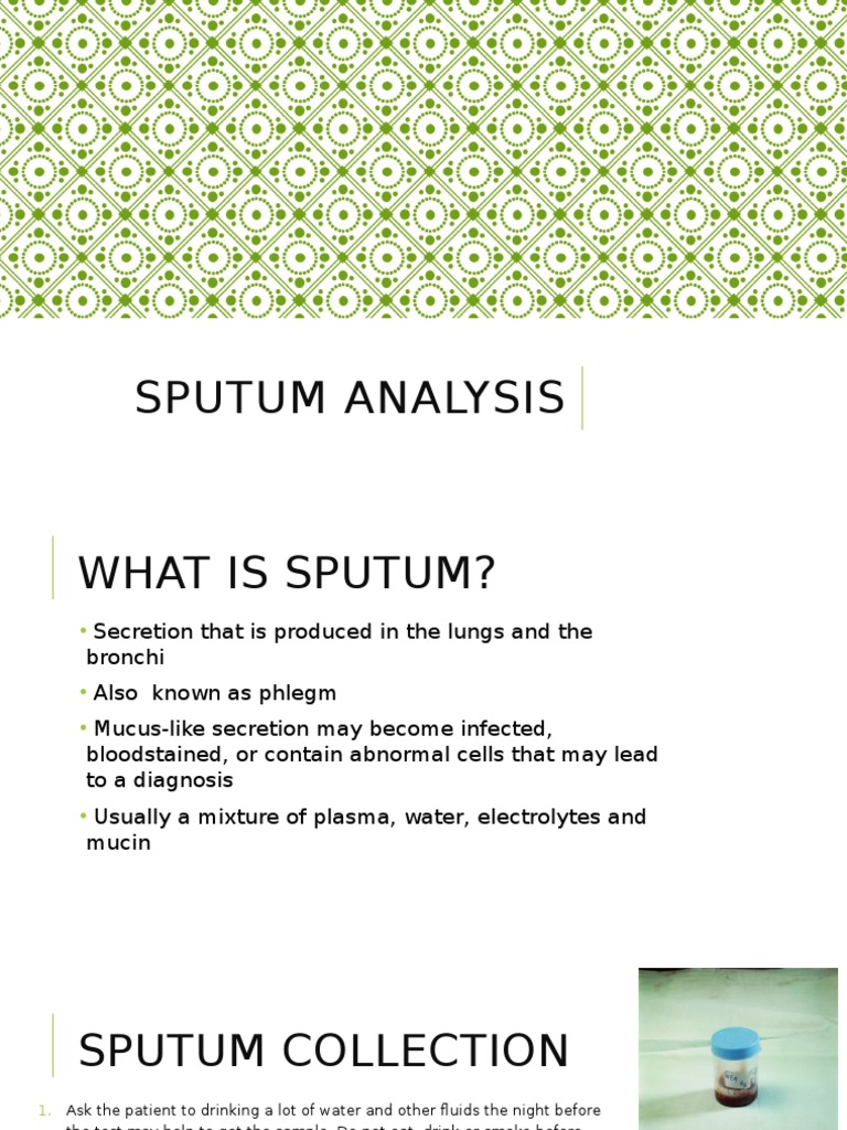Sputum Analysis | PDF | Tuberculosis | Staining