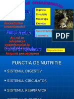 FUNCTIA DE NUTRITIE.ppt