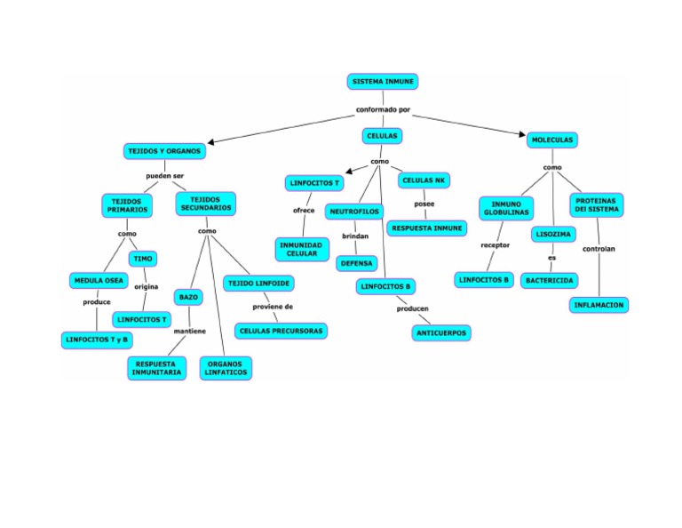 Mapa Conceptual Sistema Inmune