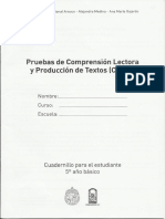 CL PT 5basico PDF