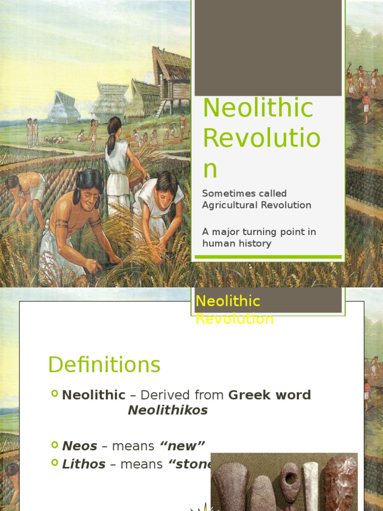 THE NEOLITHIC REVOLUTION FACTS AND INFORMATION visual data 2