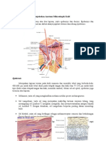 Mikroskopik Kulit