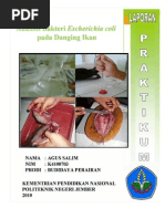 Download Analisis Bakteri Escherichia Coli Pada Danging Ikan by Putra Harapan Bangsa SN32765597 doc pdf