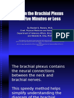 Brachial Plex How To Draw