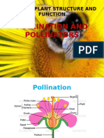 Pollination and Pollinators