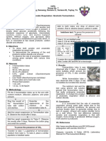 Anaerobic Respiration Formal Report