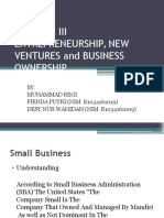 Etrepreneurship, New Ventures, And Business Ownership