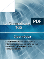 Cibernetica y La Tgs