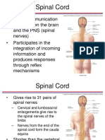 CNS&PNS.pdf