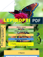LEPIDOPTEROS Presentacion