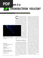 chmobacterium violaceum.pdf