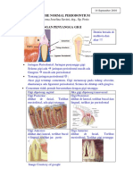 The Normal Periodontium