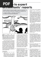 Download A Guide to Expert Accountants Reports by George Edward Sim SN32772554 doc pdf