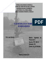 FLUJONATURAL.pdf