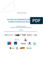 Estudios de Diversificacion de La Caden de Reciclaje Inclusiva - Movimiento de Recicladores de Chile