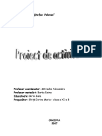 Proiect de Activitate