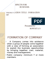 formation of a company.pptx