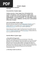 Green Algae