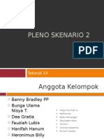 Pleno Skenario 2