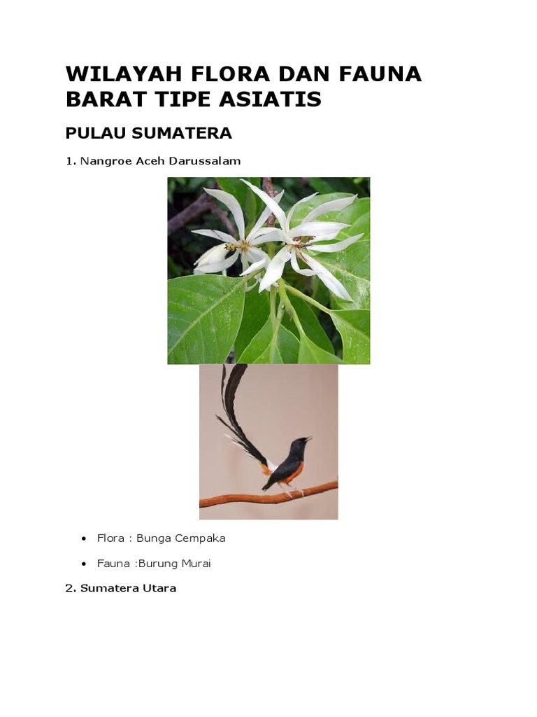 Unduh 9800 Gambar Flora Dan Fauna Asiatis Paling Bagus HD