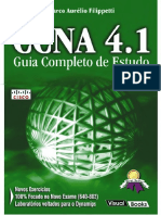 Filippetti CCNA 4 1 Guia Completo.pdf