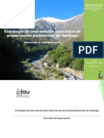 Memoria de Titulo - Estrategia de Intervencion para Areas de Preservacion