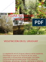 Claves Flora Nativa Uruguay