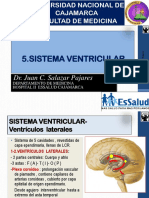 5 a SistemaVentricular 2016