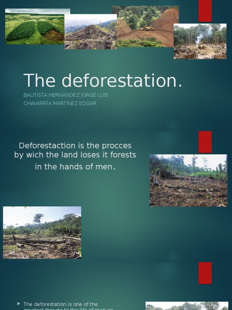 Deforestation: A Call to Action | PDF | Science & Mathematics