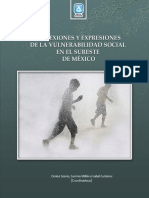 Vulnerabilidad_social_y_construccion_de.pdf