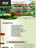 Diapositiva Auditoria Tributaria Original