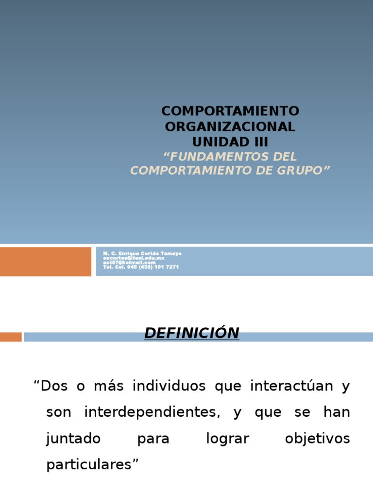Fundamentos Del Comportamiento de Grupo | PDF