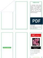 TRIPTICO Tuberculosis