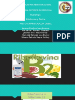 Biotina y Riboflavina