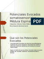 Potenciales Evocados Somatosensoriales y Médula Espinal Parcial