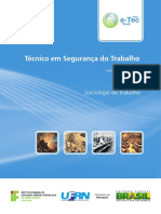 Sociologia Do Trabalho - TEXTO BASE PARA A DISCIPLINA