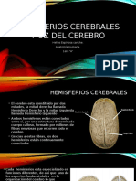 Hemisferios Cerebrales