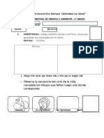 Examen Bimestral de Ciencia y Ambiente