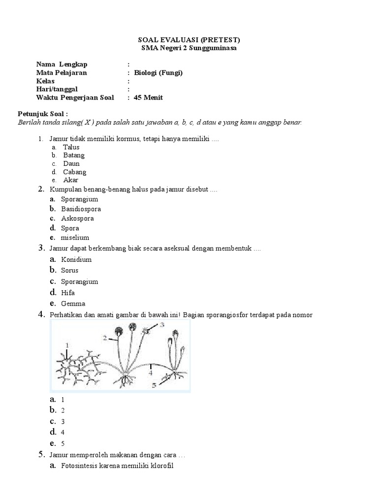 Soal Pilihan Ganda Jamur