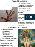 Microsistemas de Pie y Mano