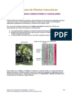 Tema15 PDF